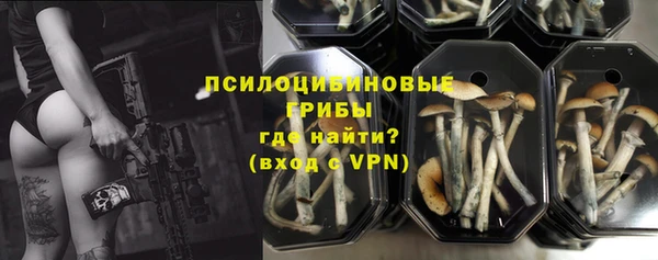 соль курить ск Козловка
