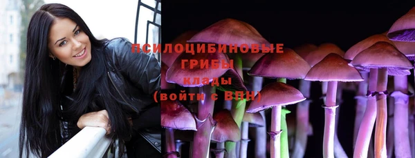 спайс Кодинск