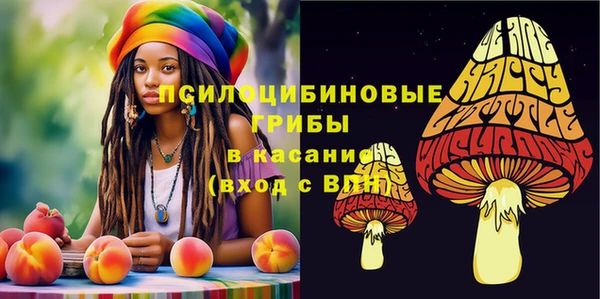 ешки Костерёво
