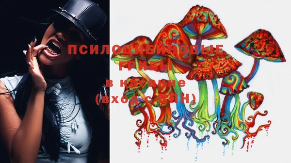 метадон Корсаков