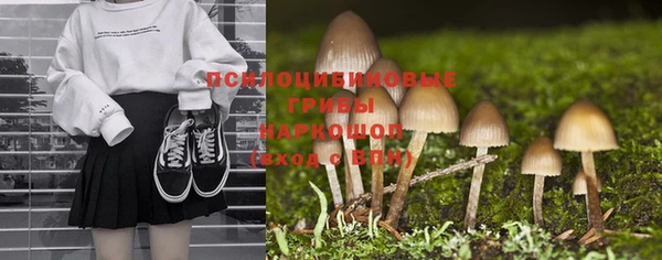 спайс Кодинск