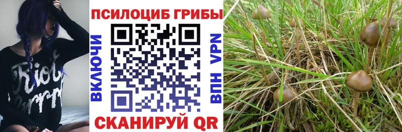 Галлюциногенные грибы MAGIC MUSHROOMS Куртамыш