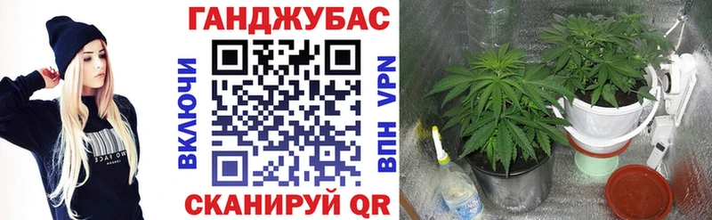 блэк спрут ссылка  Куртамыш  Шишки марихуана VHQ 
